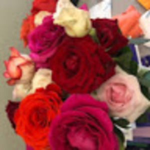 Meet your Posher, Jill